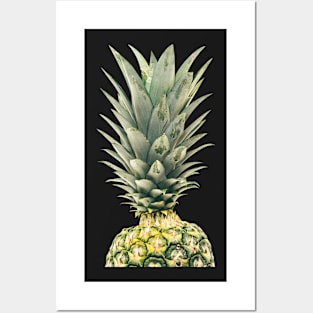 Beautiful Pineapple 16 Posters and Art